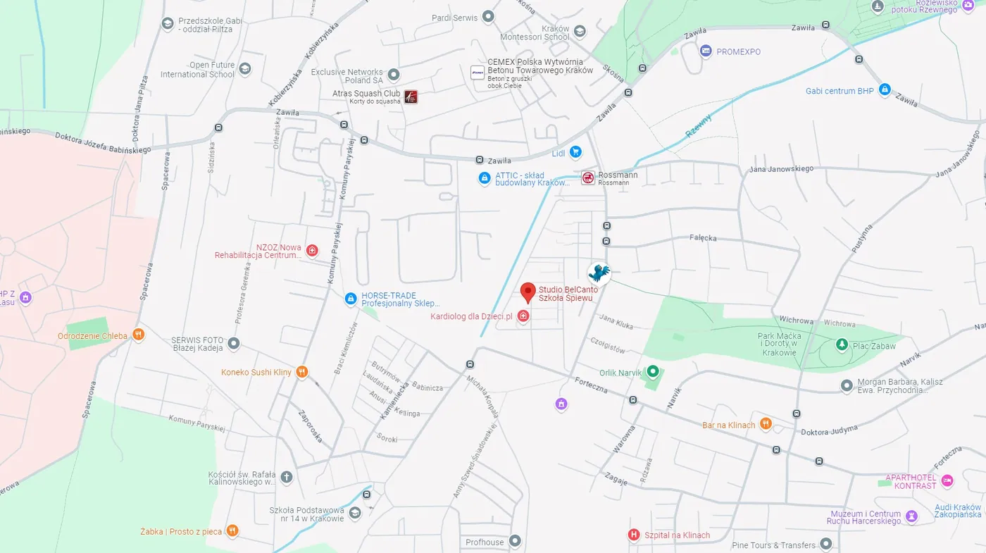 Mapa okolicy: ul. Borkowska 27f na krakowskich Klinach, z oznaczoną siedzibą Studia BelCanto